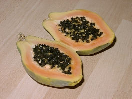 Melonenbaum / Papaya
